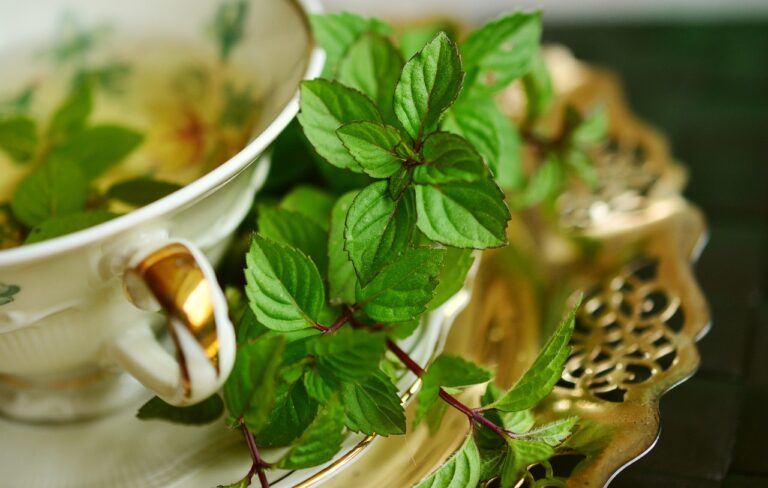 peppermint heals