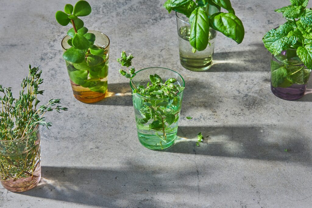 benefits of thyme water