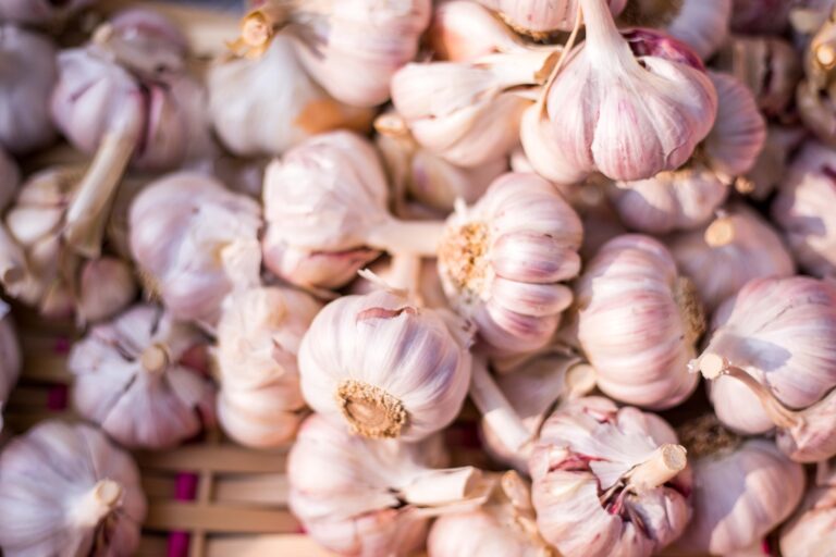garlic for earaches