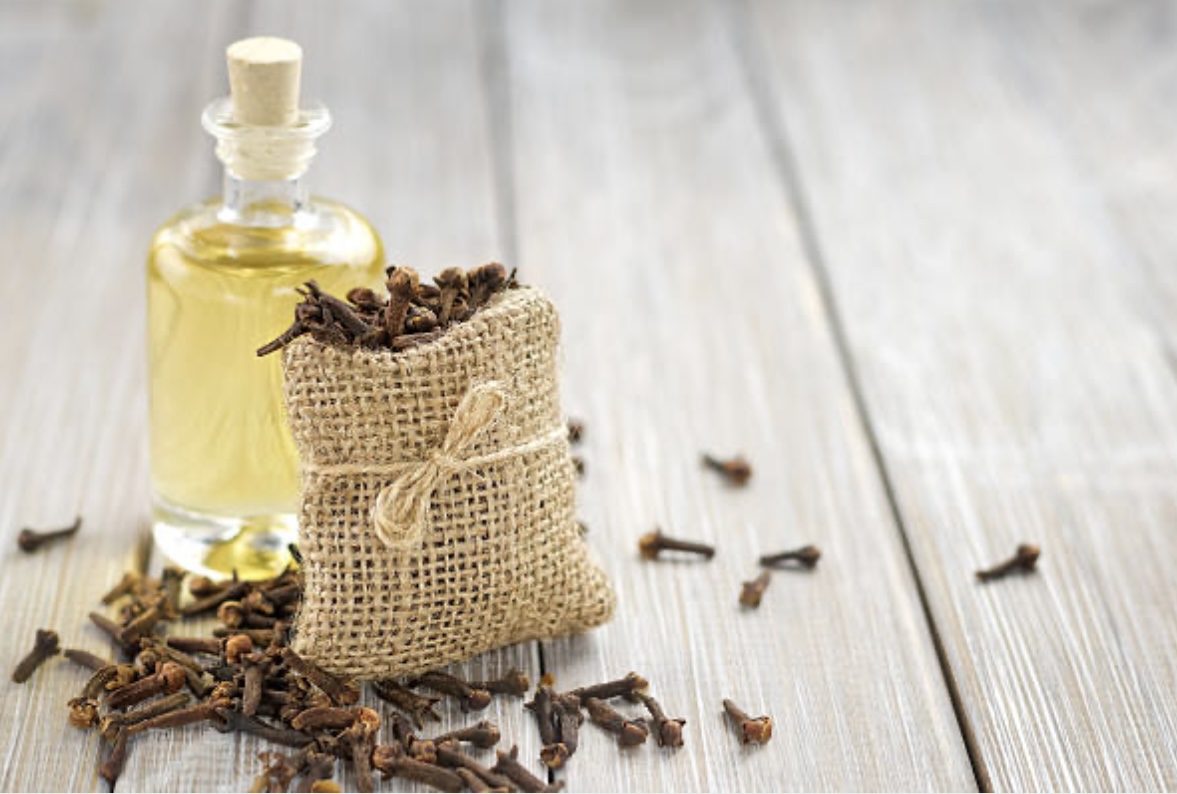 The Many Benefits Of Cloves Mother Terra Heals