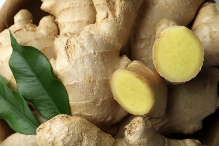 gingerroot for health