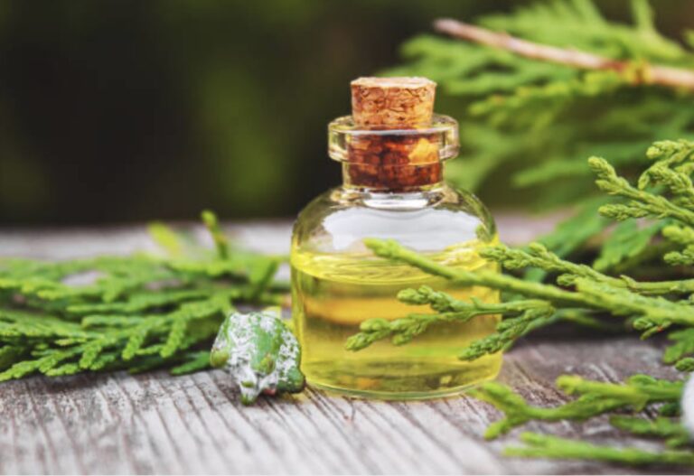 the many benefits of cypress oil