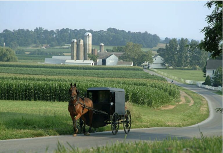 Amish life