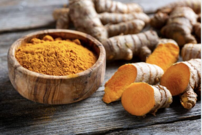 what are herbal antibiotics?