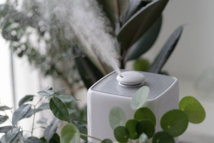 humidifier for respiratory health