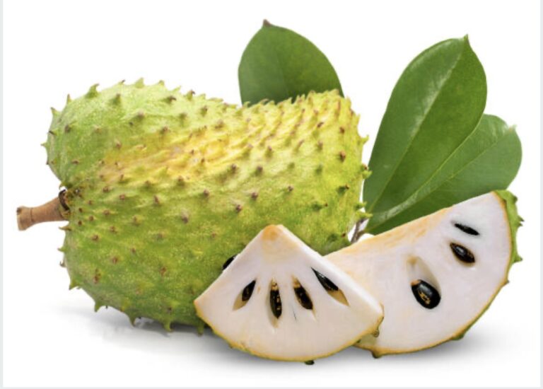 soursop to treat disease