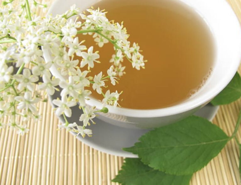 the many health benefits of white tea