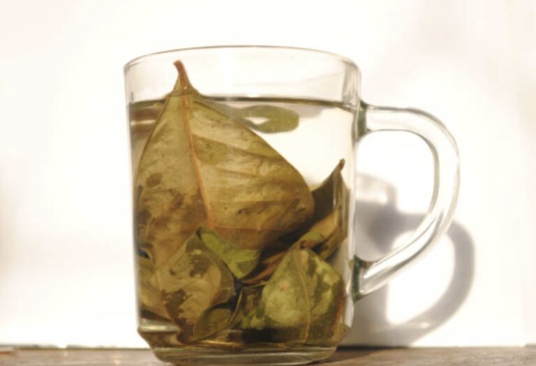 leaf tea is healthy