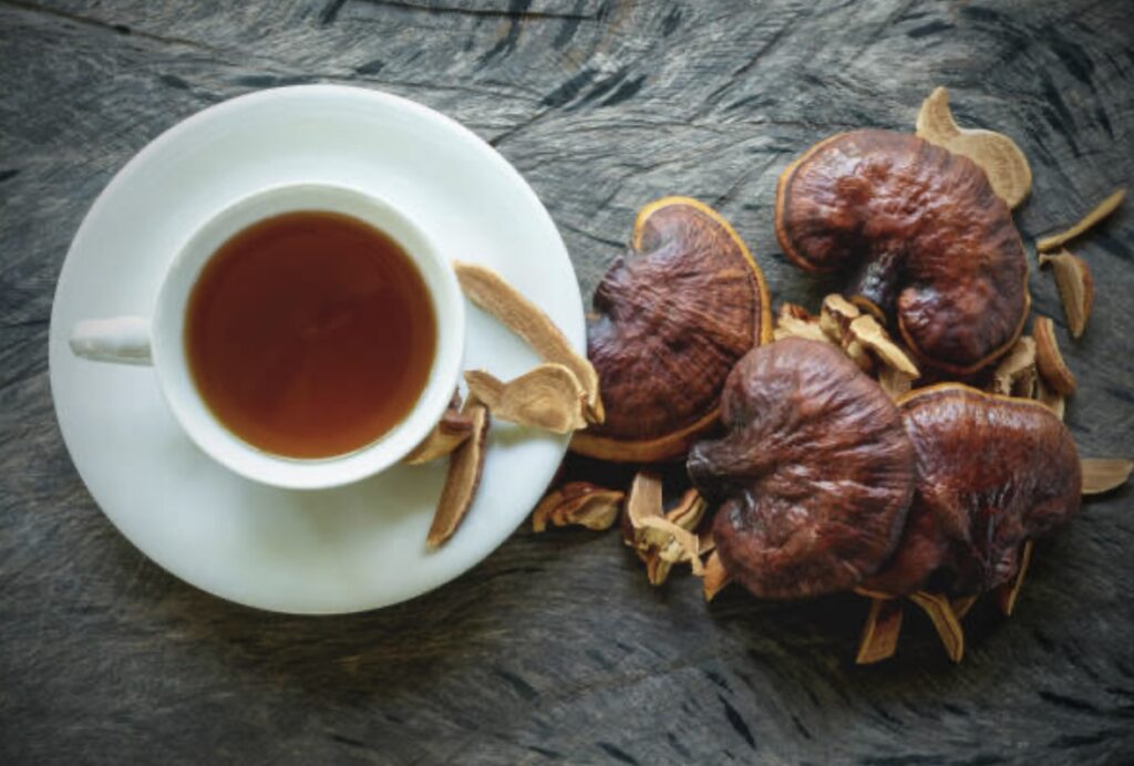 mushroom tea for cancer