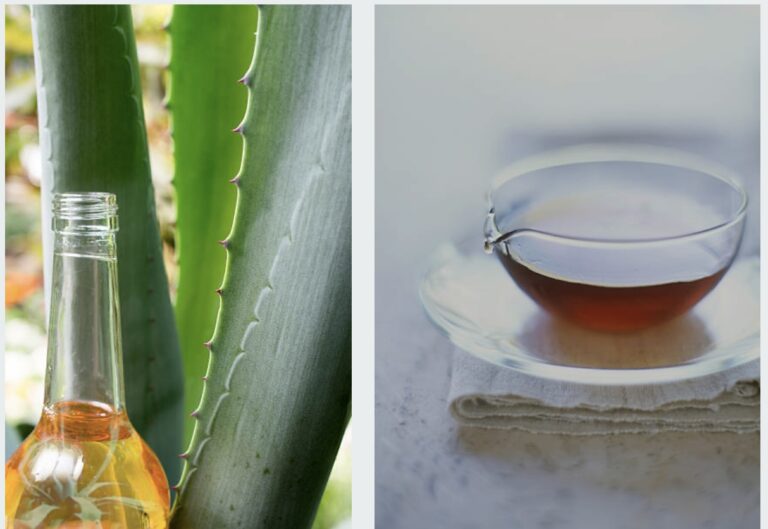 agave syrup