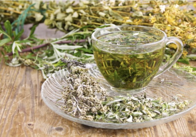 wormwood tea for parasites