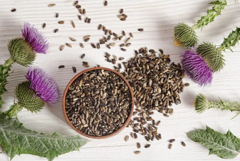 milk thistle seeds